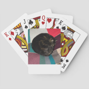 Nap Time Dave Classic Playing Cards