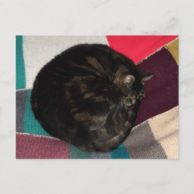 Nap Time Dave Postcard (Front)