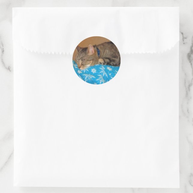 Nap Time For Indigo Classic Round Sticker (Bag)