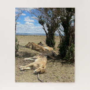 Nap Time for Lions Kenya Jigsaw Puzzle