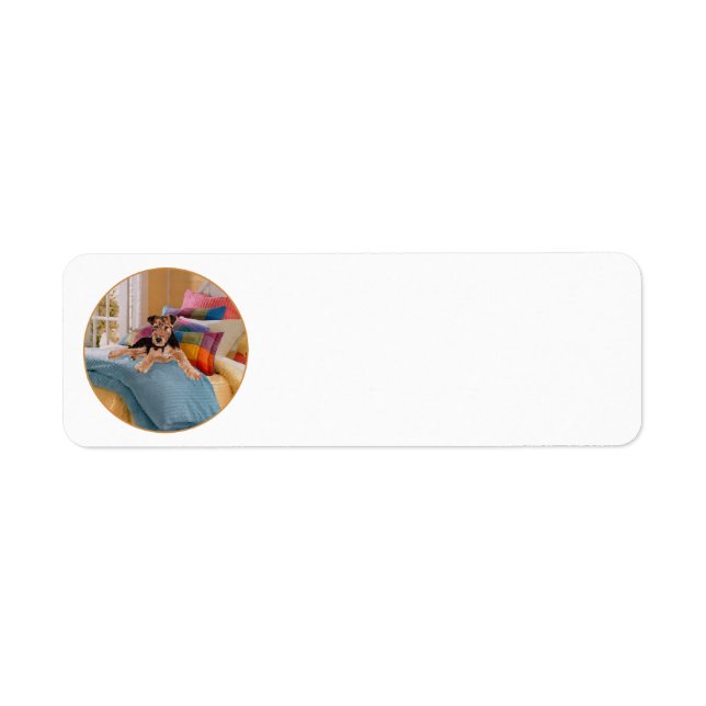Nap Time for Puppy Return Address Label (Front)