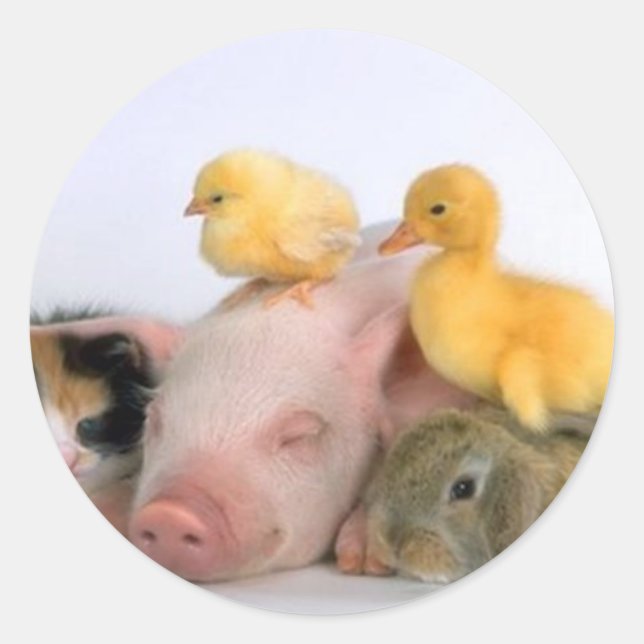 Nap Time for the Animals Classic Round Sticker (Front)