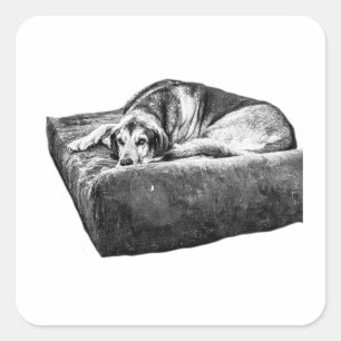 Nap Time Friend Square Sticker
