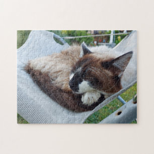 nap time jigsaw puzzle