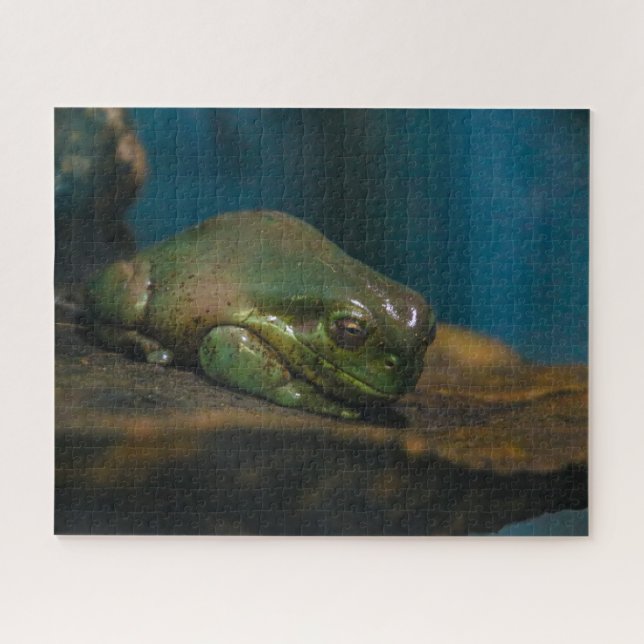 Nap Time Jigsaw Puzzle (Horizontal)