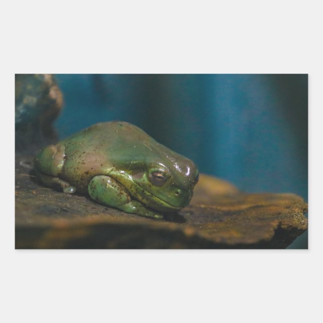 Nap Time Rectangular Sticker (Front)