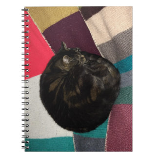 Nap Time Spiral Photo Notebook