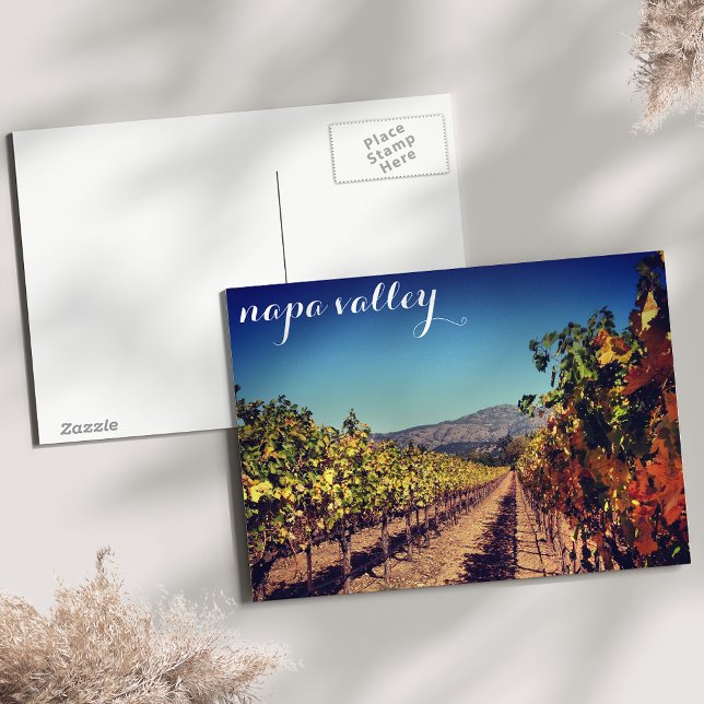 Napa Valley Autumn Harvest Vineyard Postcard (Creator Uploaded)