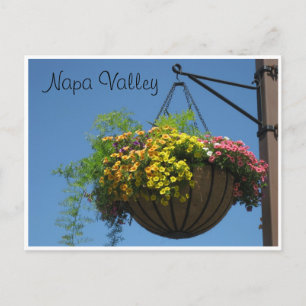 Napa Valley, Ca. Postcard