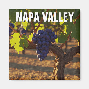 Napa Valley California Mustard Flowers Magnet