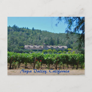 Napa Valley California Vineyard Postcard