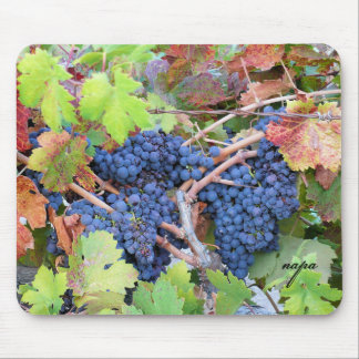 Napa Valley Harvest Mousepad