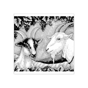 NAPA VALLEY KID & BILLY GOAT RUBBER STAMP *Custom