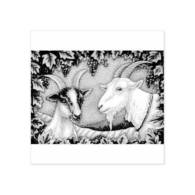 NAPA VALLEY KID & BILLY GOAT RUBBER STAMP *Custom (Imprint)