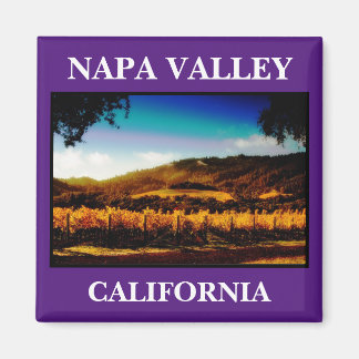 Napa Valley Pictueresque Kitchen Magnet