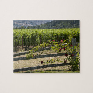 Napa Valley Vineyard and Roses Jigsaw Puzzle