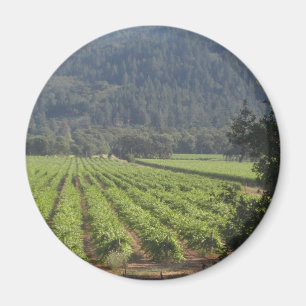 Napa Valley Vineyards I Magnet