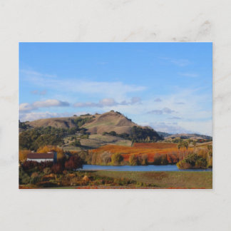 Napa Valley Wine Country in the Fall Postcard