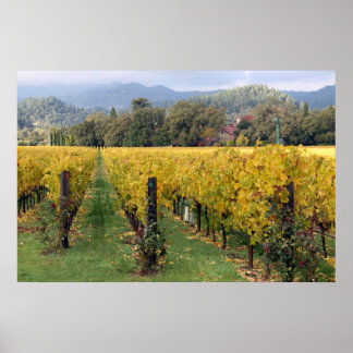 Napa vineyards poster