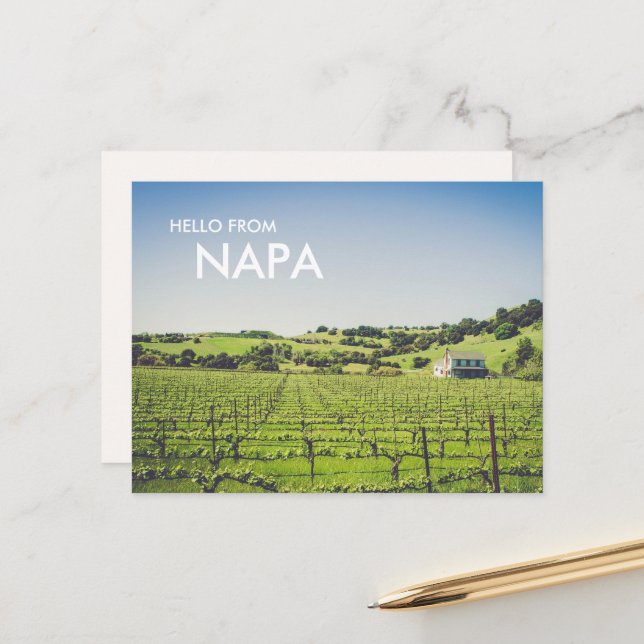 Napa Winery Photo Postcard (Front/Back In Situ)