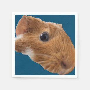 napkin
