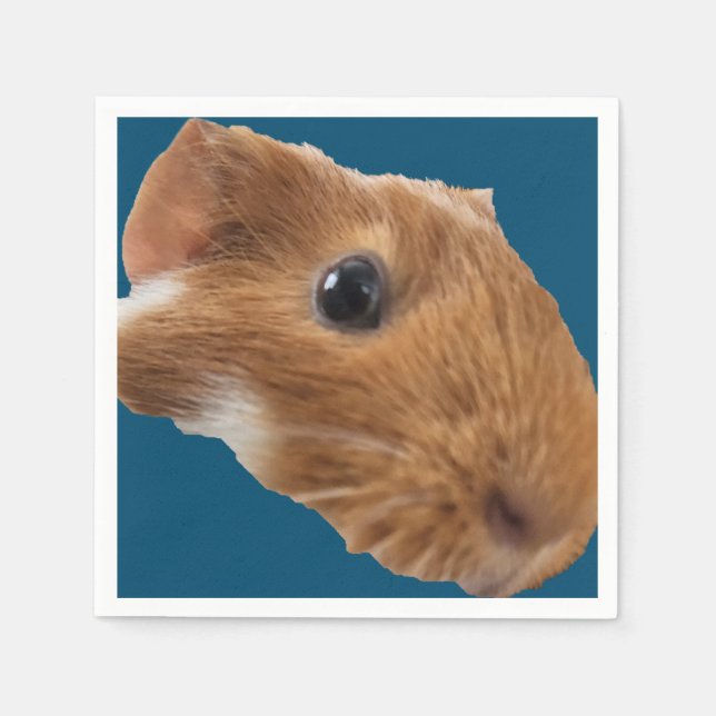 napkin (Front)