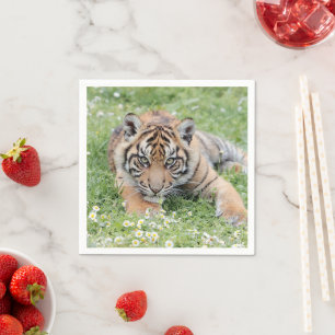 napkins Photo cat tiger , animals 01. napkins