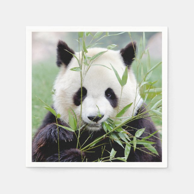 Napkins Photo giant panda , animals 0302. (Front)