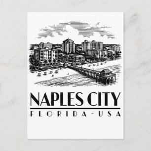 Naples City Florida USA Postcard