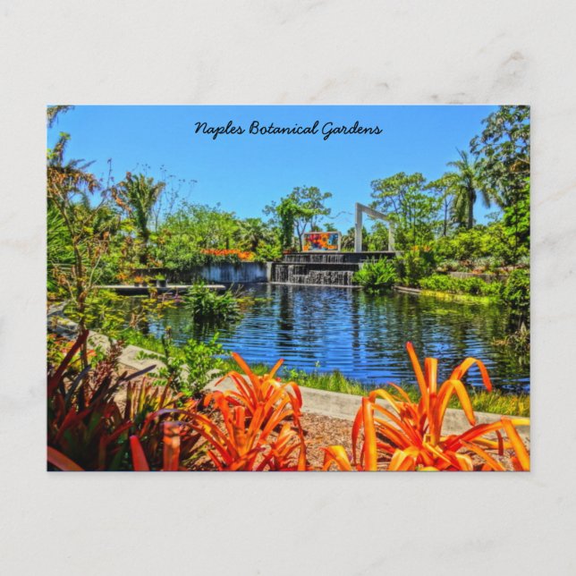 Naples Florida Botanical Garden - Mosaic Wall Postcard (Front)