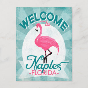 Naples Florida Pink Flamingo - Vintage Retro Trave Postcard