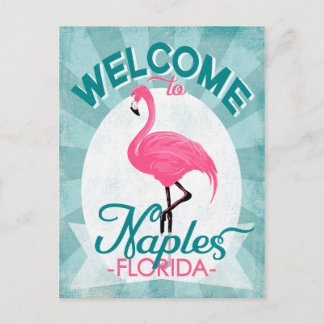 Naples Florida Pink Flamingo - Vintage Retro Trave Postcard