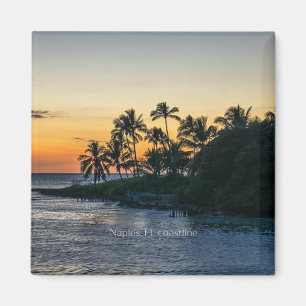 Naples, Florida scenic coastline, Magnet