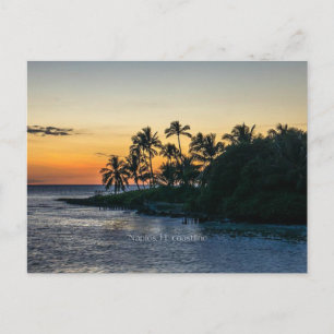 Naples, Florida scenic coastline, Postcard