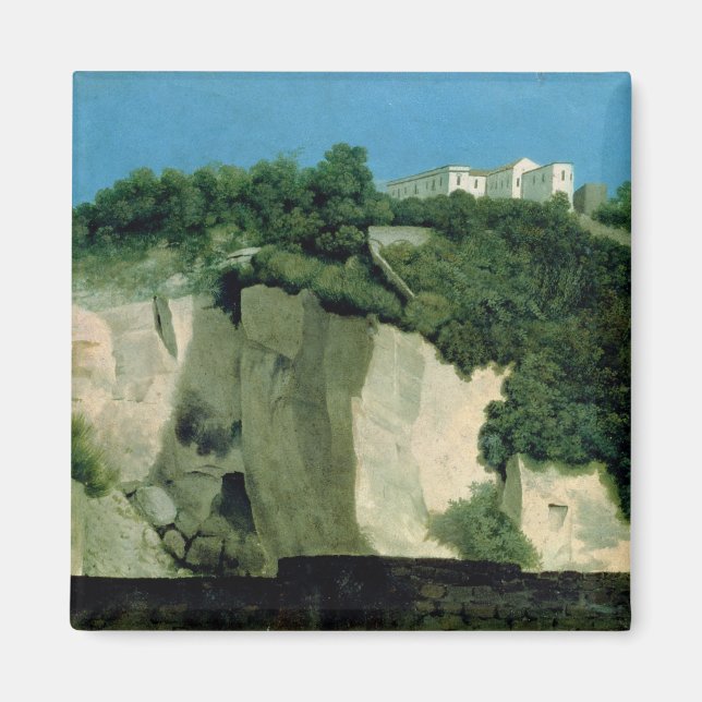 Naples Magnet (Front)