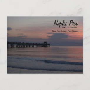 Naples Pier  Naples, Florida Postcard