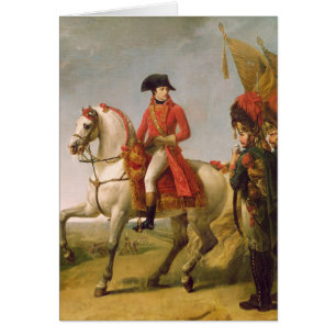 Napoleon Bonaparte First Consul