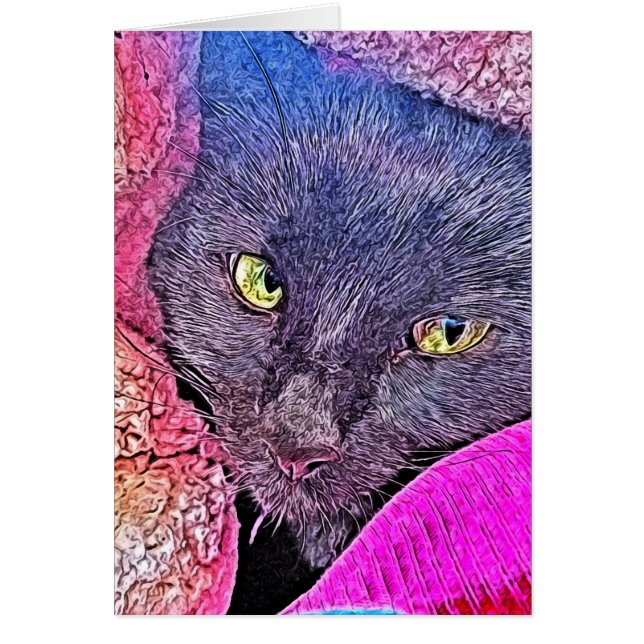 Napoleon in a blanket (Front)