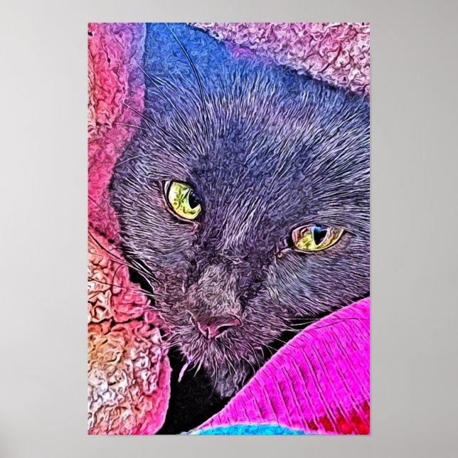 Napoleon in a blanket poster (Front)