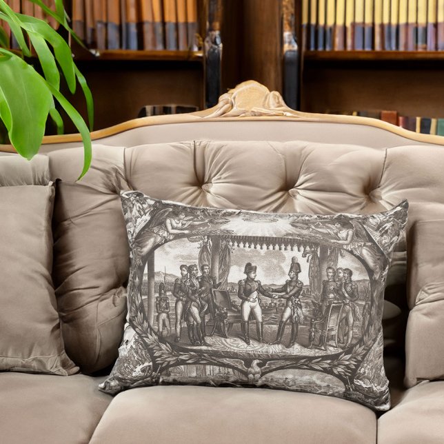 Napoleon Meeting Alexander I French History Decorative Cushion (Creator Uploaded)