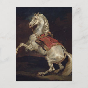 Napoleon's Stallion, Tamerlan Postcard