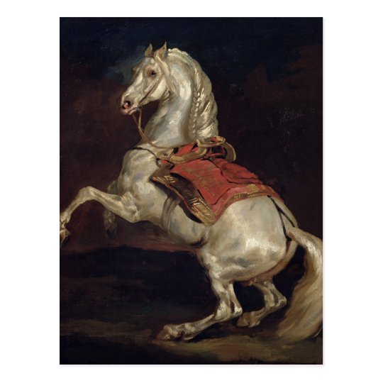 Napoleon's Stallion, Tamerlan Postcard