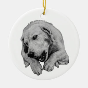 Napping By The Festive Pine Ceramic Ornament