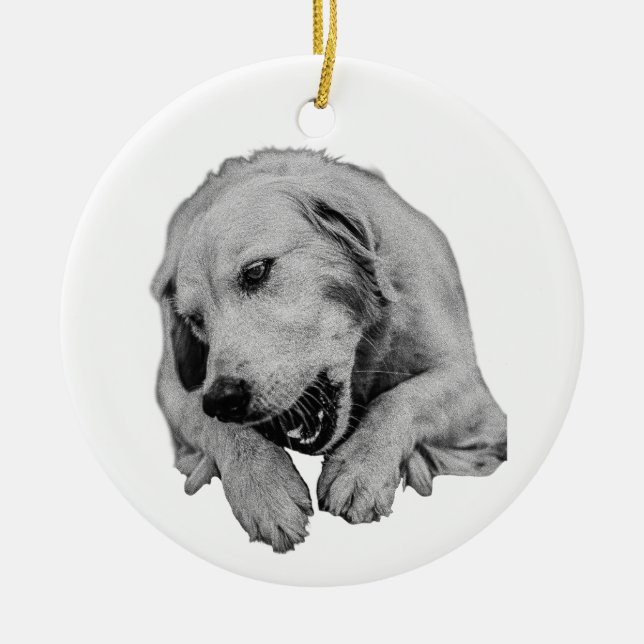 Napping By The Festive Pine Ceramic Ornament (Front)