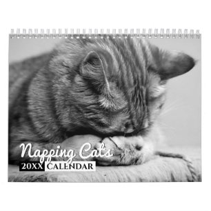 Napping Cats Photo Wall Calendar