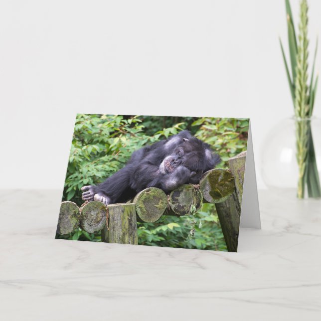 Napping Chimpanzee Birthday Humour Card (Front)