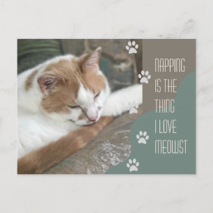 Napping is the thing I love meowst Cat Postcard