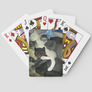 Napping Kittens Playing Cards, Standard Deck Playing Cards