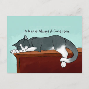 Napping Kitty Postcard