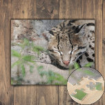Napping Ocelot Jigsaw Puzzle<br><div class="desc">An Ocelot naps behind the bushes on a cool March morning. Spots and stripes cover his soft tan fur, offering camouflage in the dappled sunlight. His ears are alert, scanning for any noise that could signal potential prey or a threat. His eyes are fixated on something off in the distance....</div>